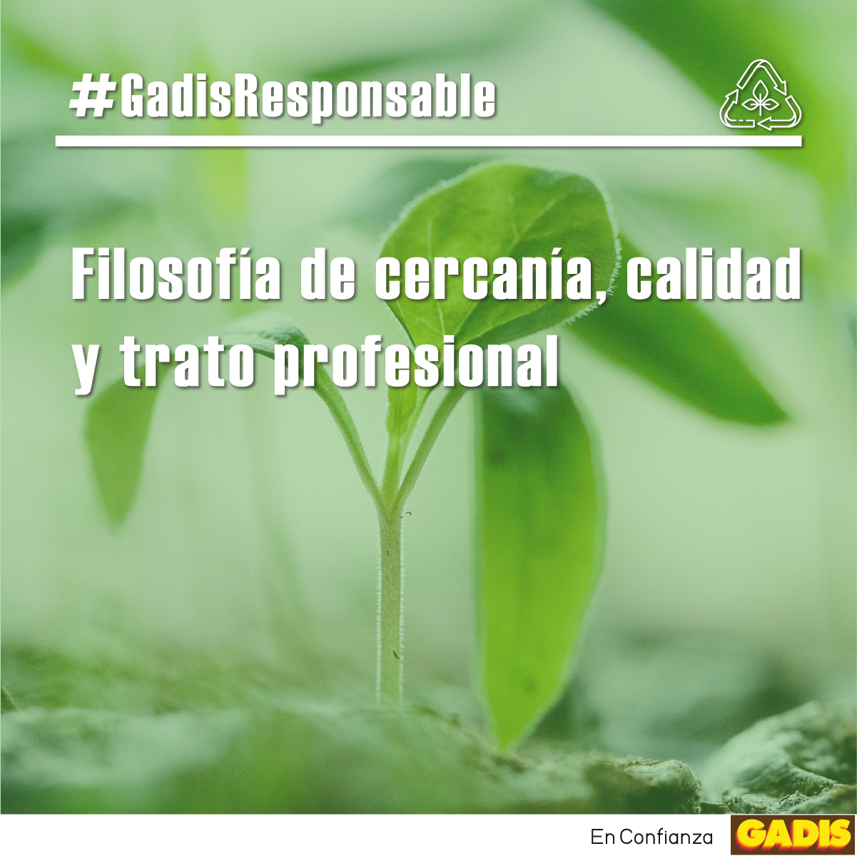 noticia