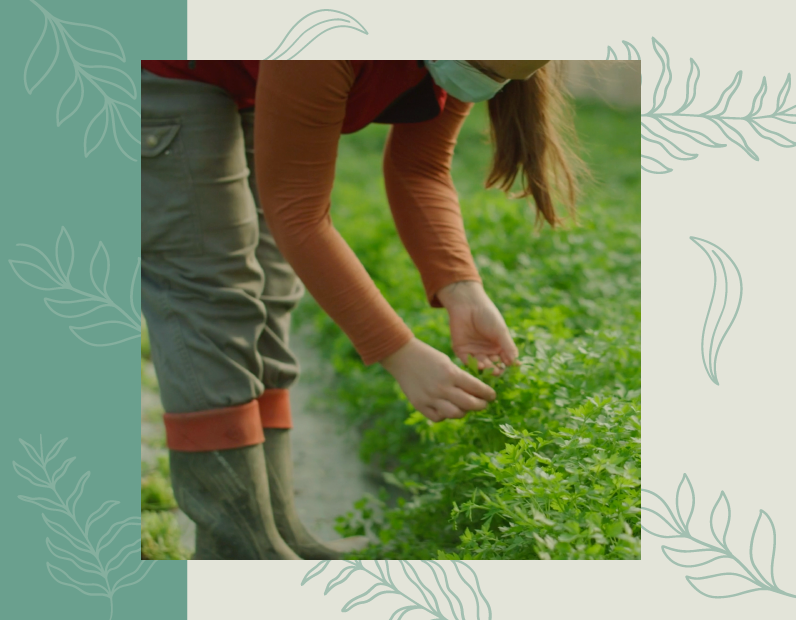 ¡Haz tu compra sostenible! - Consumo local y productos eco ¡Haz tu compra sostenible! - Consumo local y productos eco