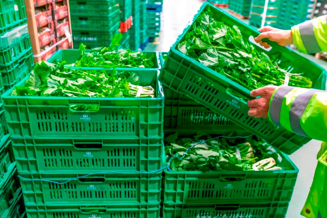 Imagen noticia REFORZAMOS O NOSO COMPROMISO COA SUSTENTABILIDADE AMBIENTAL