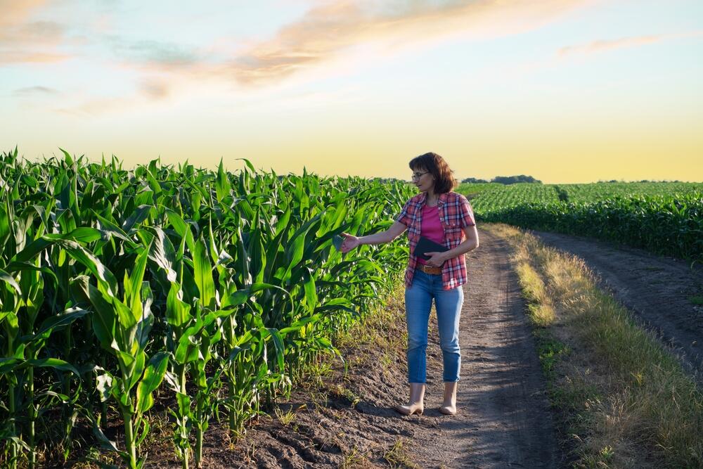 Fomentar el desarrollo rural sostenible | Gadisa