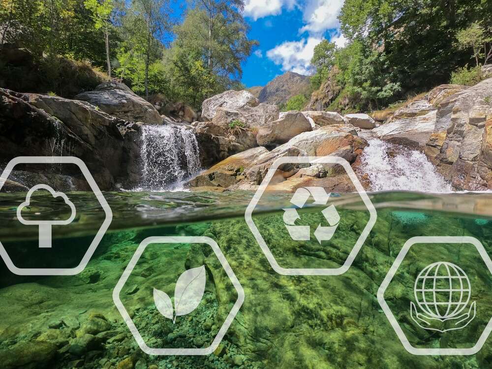 Por qué debemos respetar el medio ambiente